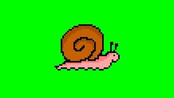 cute pixel snail animation on green screen