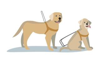Blind man walk outdoor with guide dog assistance. Professional trained pet puppy help disabled impaired guy on streets. Visual impairment concept. Service animal and people. Vector illustration.