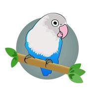 lovebird vector design template