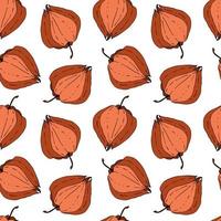 Physalis pattern seamless doodling hand drawing on a white background. Vector illustration