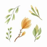 Botanical watercolor set, hand drawing, magnolia leaves branches, design elements, isolated, white background. Vector