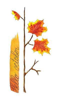 Autumn postcard template Maple branch with lettering Hello October, watercolor sketch, hand drawing. Isolated, place for an inscription, white background. Vector