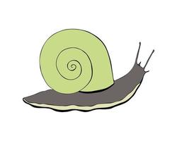 Contorno de caracol dibujo a mano alzada, silueta negra, aislado, fondo blanco. vector