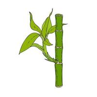 Bamboo stick with leaves and young shoots, hand drawing, doodling, color, isolated, white background. Vector