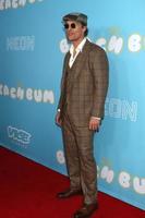 LOS ANGELES   MAR 28 - Matthew McConaughey at  The Beach Bum  Premiere at the ArcLight Hollywood on March 28, 2019 in Los Angeles, CA photo