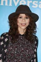 los angeles 9 de enero - rosie perez en la gira de prensa de invierno nbc tca en el hotel langham huntington el 9 de enero de 2018 en pasadena, ca foto