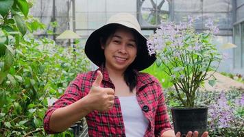 mujer jardinera sosteniendo una pequeña maceta y mirando la cámara en el invernadero. feliz mujer asiática cuidando plantas preparadas para la venta. video