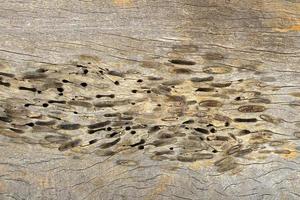 background pattern on wooden floor photo