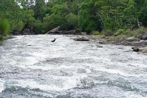 Water flows in a stream in the rainy season. photo