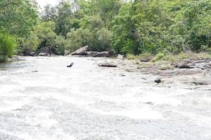 el agua fluye en un arroyo en la temporada de lluvias. foto