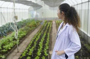 Asian female agronomist working in a greenhouse,  organic vegetable and agriculture concept photo