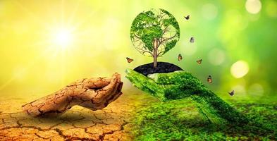 árbol en dos manos con ambientes muy diferentes día de la tierra o día mundial del medio ambiente calentamiento global y contaminación foto