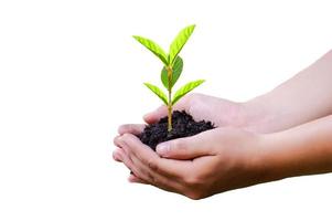 mano sosteniendo un árbol medio ambiente día de la tierra fondo blanco aislar foto