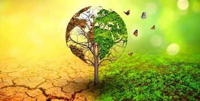 tree in two  with very different environments Earth Day or World Environment Day Global Warming and Pollution photo