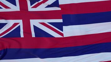 bandera del estado de hawaii, región de los estados unidos, ondeando al viento. representación 3d foto