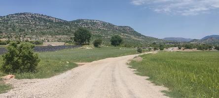 Landscape mountain view grass rocks and others photo