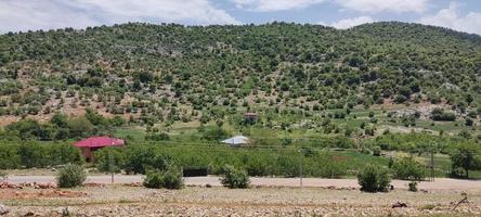 Landscape mountain view grass rocks and others photo