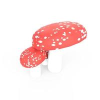 Mushrooms 3d modelling photo