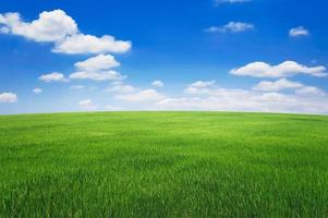 campo de hierba verde con cielo azul y nubes blancas. fondo de paisaje de naturaleza foto
