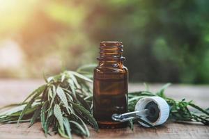 hierba de cannabis y hojas con extractos de aceite en frascos. concepto medico foto