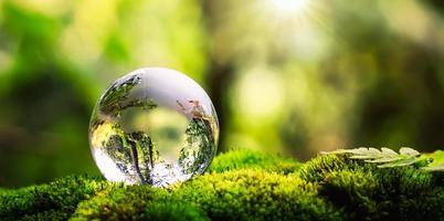 globe glass on grass with sunshine. environment concept photo