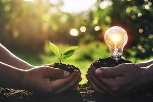 hand holding young plant with light bulb on dirt and sunset background photo