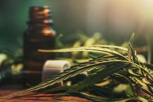 hierba de cannabis y hojas con extractos de aceite en frascos. concepto medico foto