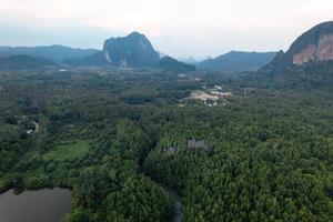 High angle mangrove forest and canal water photo