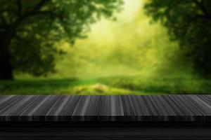 Wooden desk of free space for your decoration and summer landscape of lake and green leaves photo