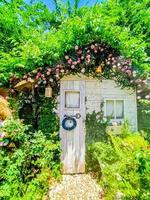 Garden cottage with beautiful blooms flower Homesthetics house idea nature decoration photo