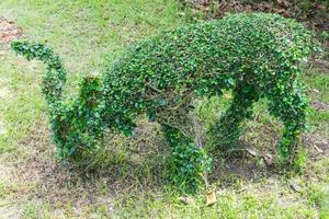 The bending wire model of the deer shape photo