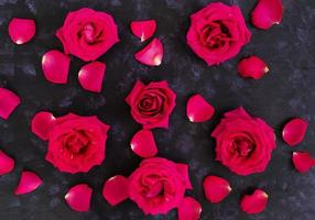 Pink roses on dark background. Top view photo