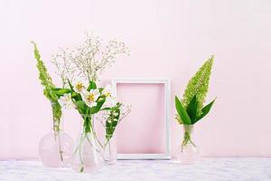 Flowers and plants in flask with frame. Beautiful spring background with flowers in vase. photo