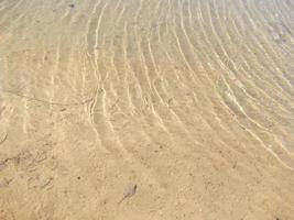 olas en el agua del estanque foto