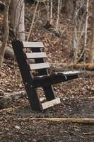 Dark bench on a wooded trail photo