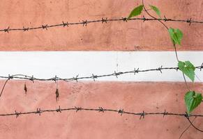 Old barbed wire photo