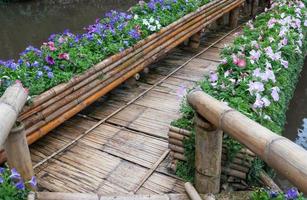 viejo puente de bambú con la fila de flores. foto