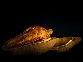 Pods and seeds of  Mahogany on black background photo