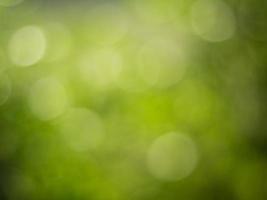 Natural outdoors bokeh background in green and yellow tones, Blurred green tree leaf background with bokeh photo