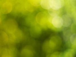 Natural outdoors bokeh background in green and yellow tones, Blurred green tree leaf background with bokeh photo