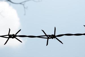 Old and rusty barbed wire on the fence photo