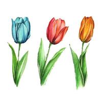 hand drawn tulips flower vector