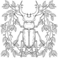 Stag beetle coloring page for children and adults. Beautiful drawings with patterns and small details. Hand drawing vector illustration in black outline on a white background