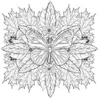 Hand drawn Decorative butterfly with florals for the anti stress coloring page. vector