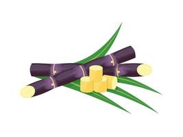 Vector illustration of sugarcane, isolated on white background, suitable as a packaging label for processed sugarcane products.