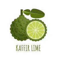 Vector illustration of kaffir lime with leaves, isolated on white background, flat style design, suitable for packaging and advertising design elements.