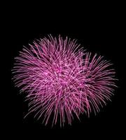 The blooming firework photo