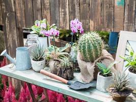 grupo de muchas plantas con las herramientas de gadening. foto