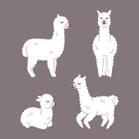 White llama, alpaca collection, cute illustration vector