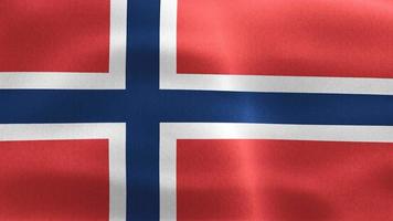 Svalbard and Jan Mayen flag - realistic waving fabric flag. video